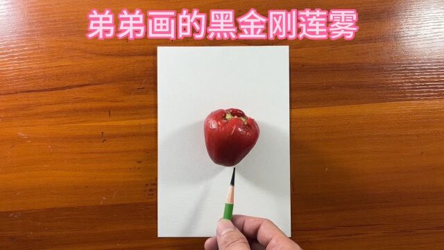 弟弟画的黑金刚莲雾