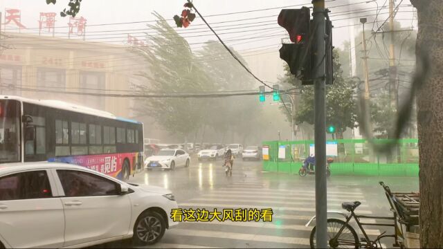 昨天沈阳突降强暴雨,短期大风大雨太猛烈,打伞还把驴哥浇透透的 #狂风暴雨来袭