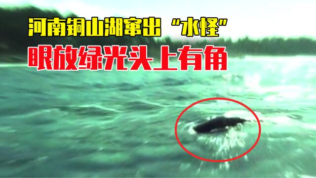 铜山湖窜出“水怪”,眼放绿光长着两只角,10米长的它是何生物?