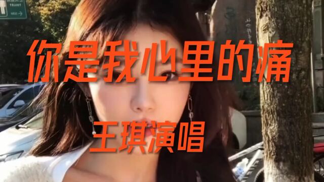 伤感情歌《你是我心里的痛》王琪演唱