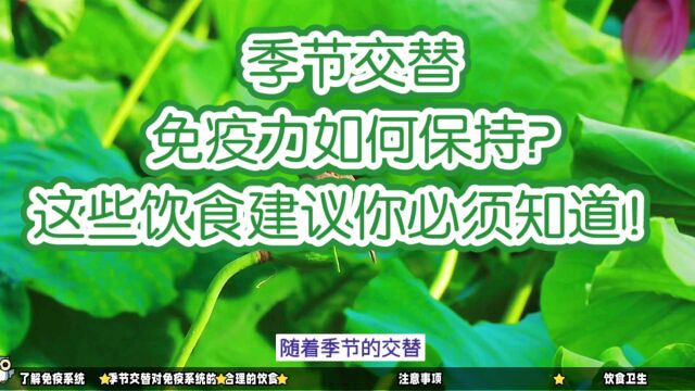 季节交替,免疫力如何保持?这些饮食建议你必须知道!