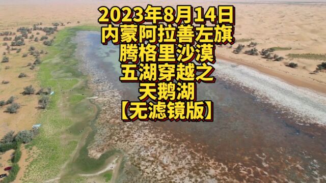 腾格里沙漠五湖穿越之天鹅湖乌兰湖骆驼湖