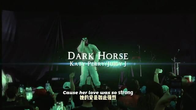 Dark Horse——Juicy J 节奏太洗脑,欲罢不能! #音乐现场 #神级现场 #欧美音乐