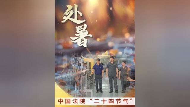 中国法院“二十四节气”——处暑ⷦœˆ亮之都“3+1”营商环境机制的实践样本