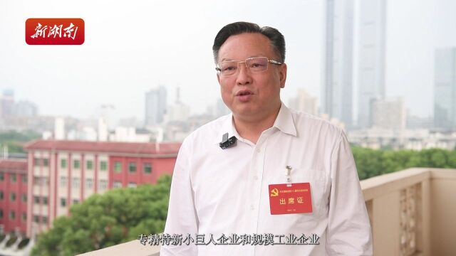 湖南高质量发展大家谈|雷绍业:建设标志性工程,加快构建富有湖南特色和优势的现代化产业体系