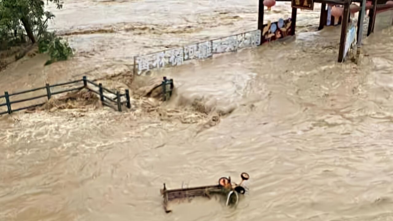 荆州松滋特大暴雨致水位暴涨、大树倾倒,当地村民连夜转移