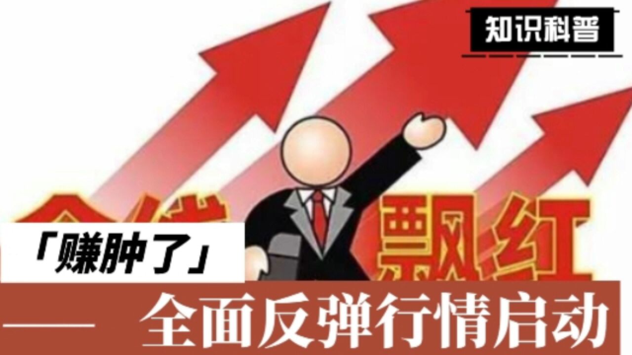 8.29股市收评:赚肿了兄弟们,全线反弹行情开启