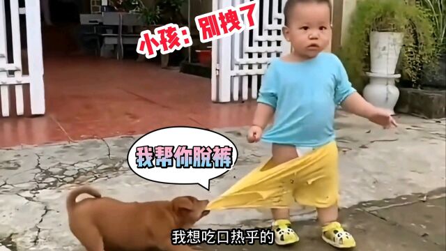 狗:我帮你脱裤子,你快点拉啊