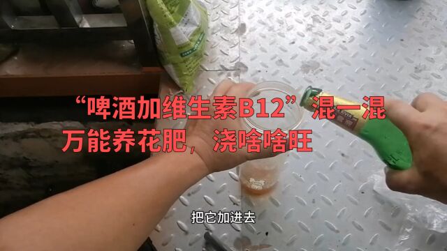 “啤酒加维生素B12”混一混,就是万能养花肥,浇啥啥旺