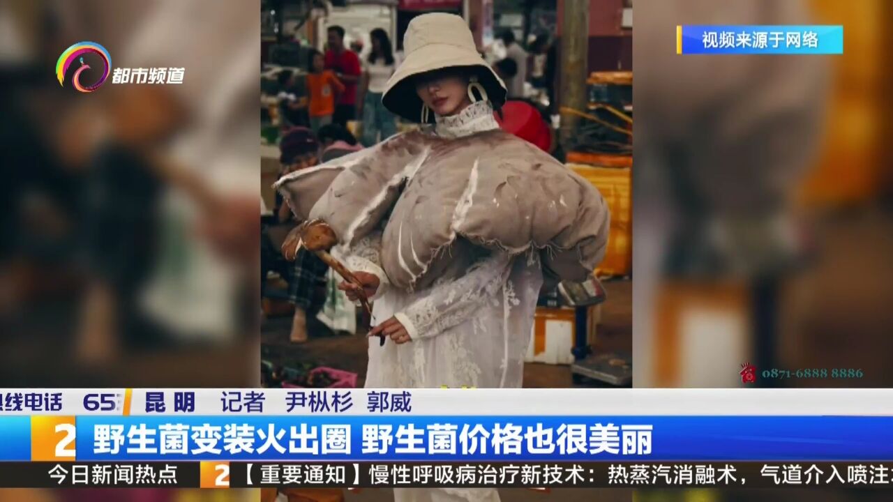 野生菌变装火出圈 野生菌价格也很美丽