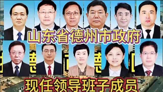 山东省德州市政府现任领导班子成员,山东有6位,有你家乡的吗