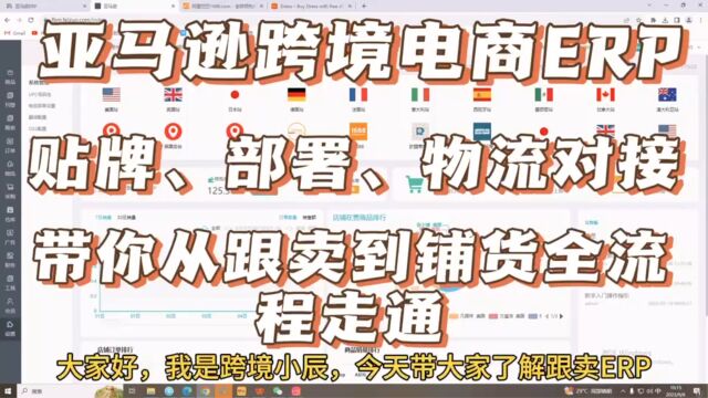 跨境电商亚马逊ERP贴牌部署物流对接带你从跟卖卖铺货全流程走通