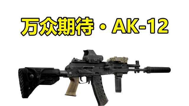 万众期待的AK12是玩具枪?其实隐藏属性很好!