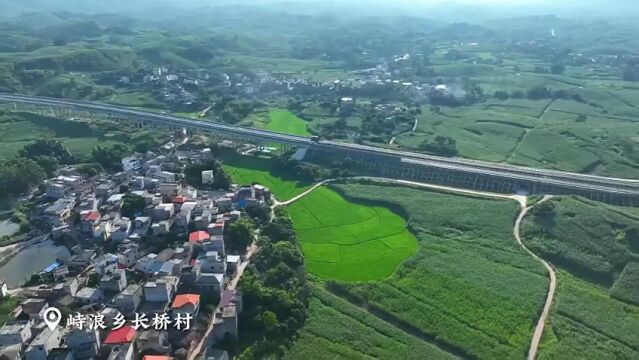 【我的美丽家乡(7)】峙浪乡长桥村