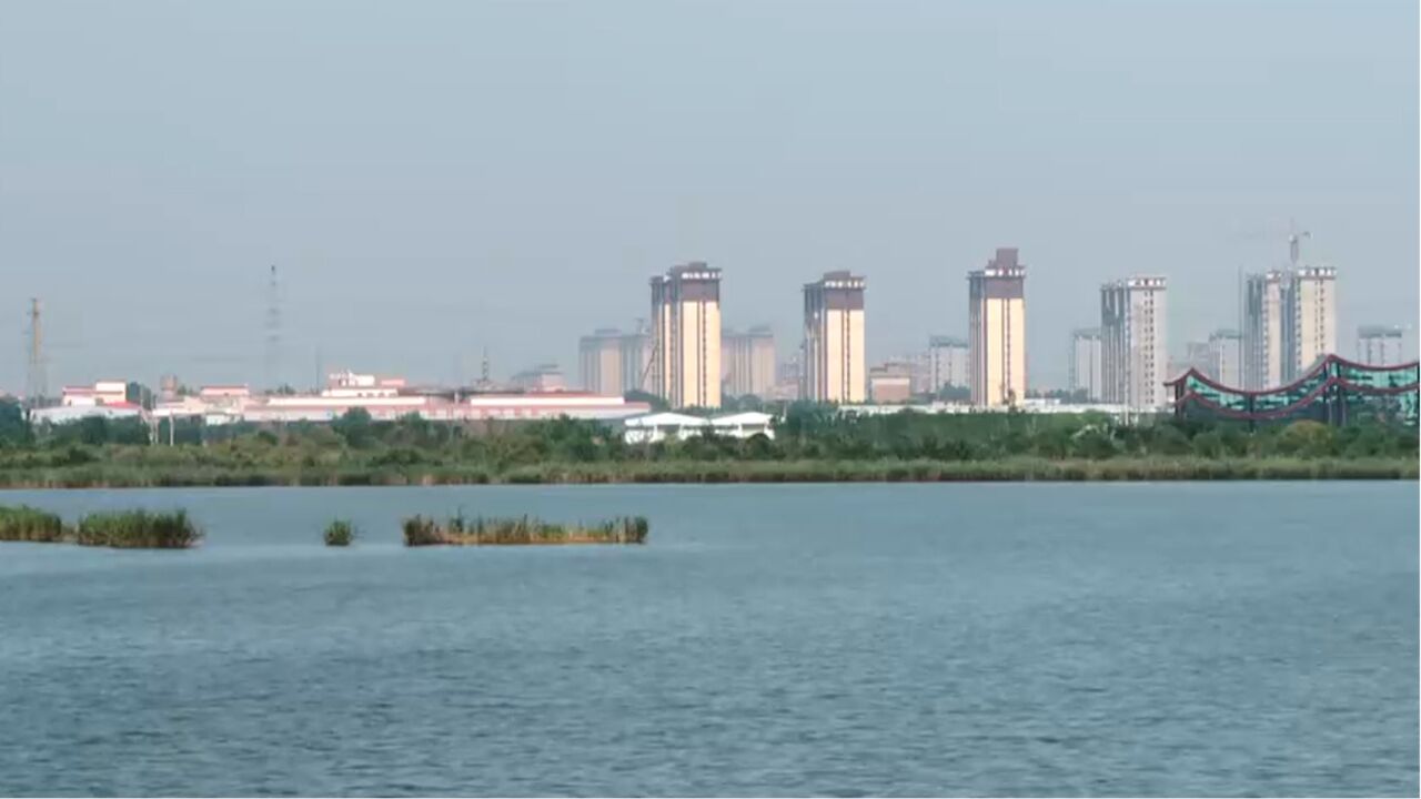 伍姓湖是山西省最大的淡水湖泊,是永济市实现“一泓清水入黄河”的重要节点