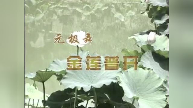 元极舞——金莲普开