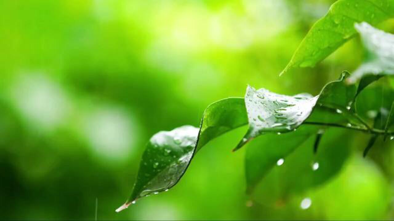 浙江省台州市,台州迎先晴后雨天气