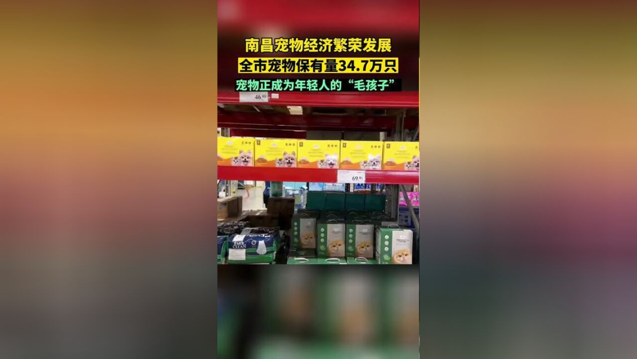 9月7日,随着饲养宠物的人群日渐增多,全市宠物保有量34.7万只,同比增长3.7%.