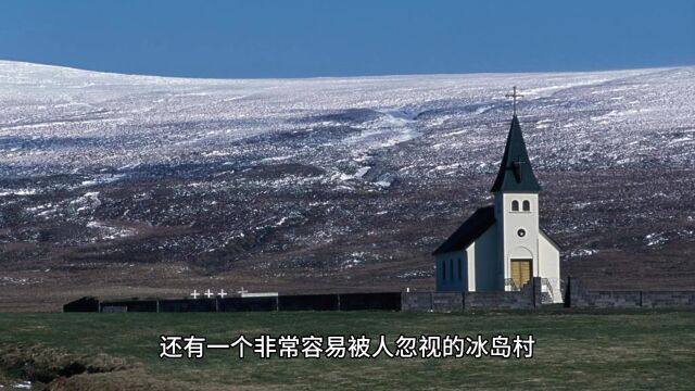 大山深处的“云南第一村”冰岛村,村民不到300人,有6万株古茶树