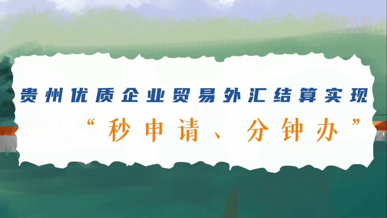 贵州优质企业贸易外汇结算实现“秒申请、分钟办”