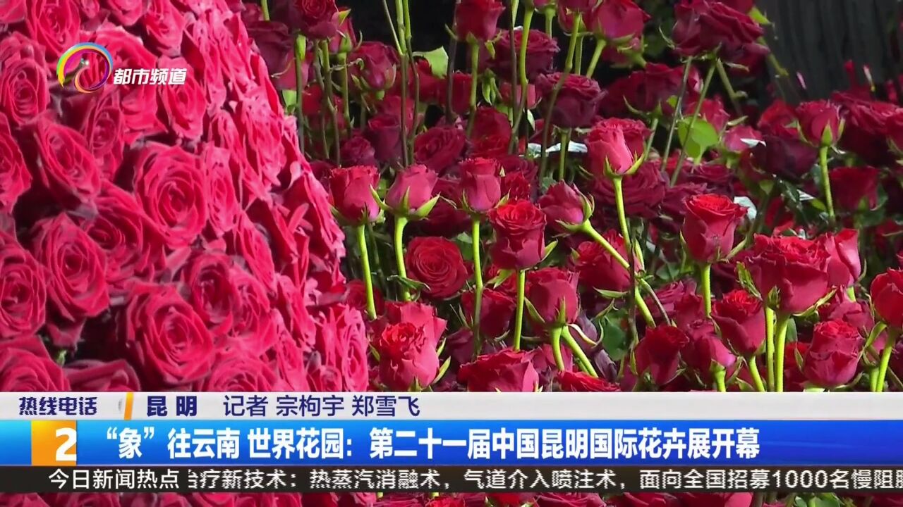 “象”往云南 世界花园:第二十一届中国昆明国际花卉展开幕