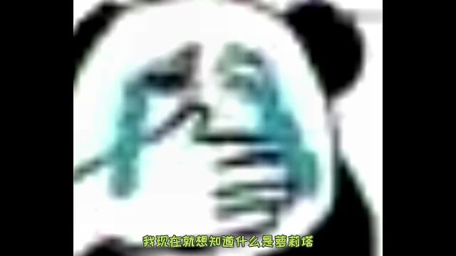 这样的好女人,是我有钱都泡不到的