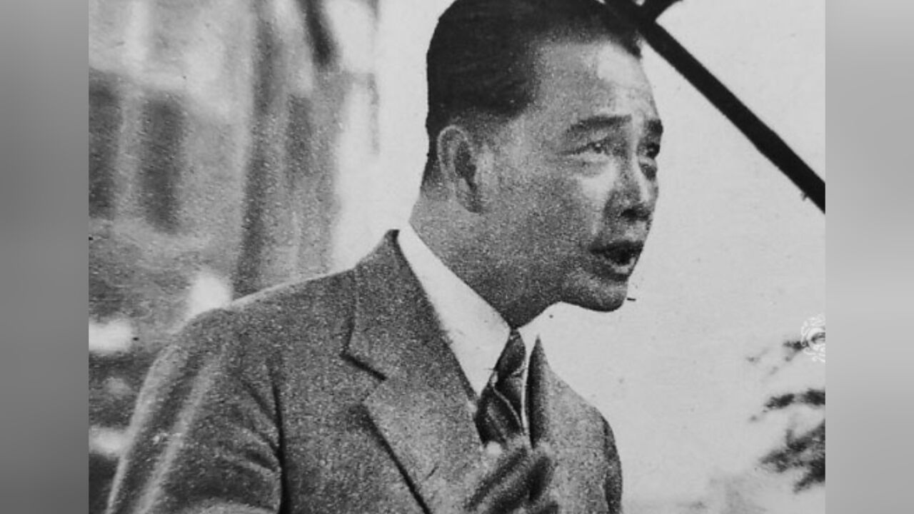 1935年,汪精卫遭到刺杀,他的妻子陈璧君将矛头直指老蒋│纪录片