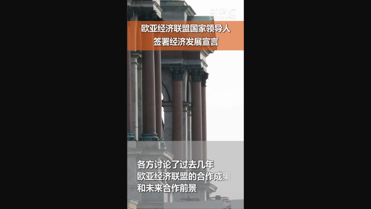 欧亚经济联盟国家领导人签署经济发展宣言