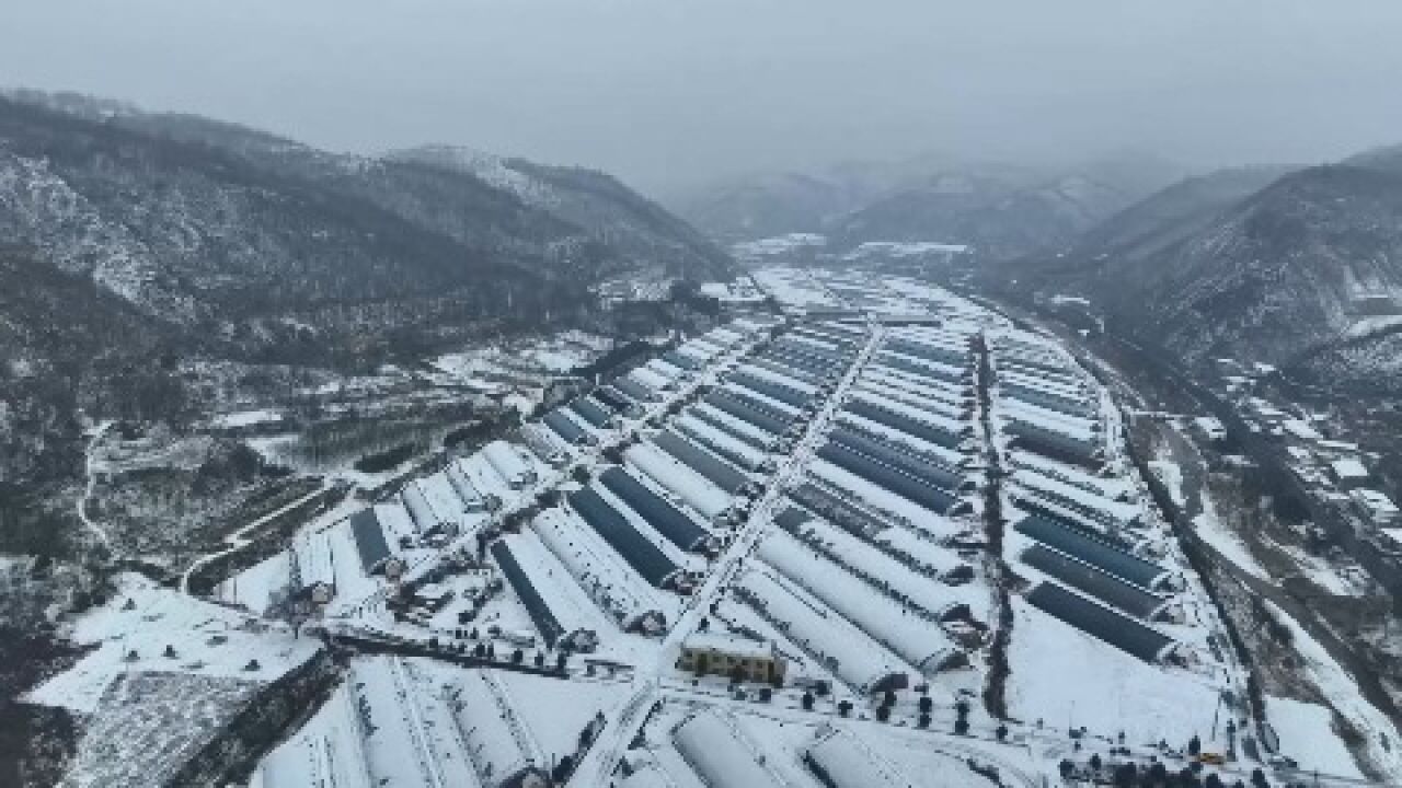 陕西延安:迎寒而上 保障民生有“温度”