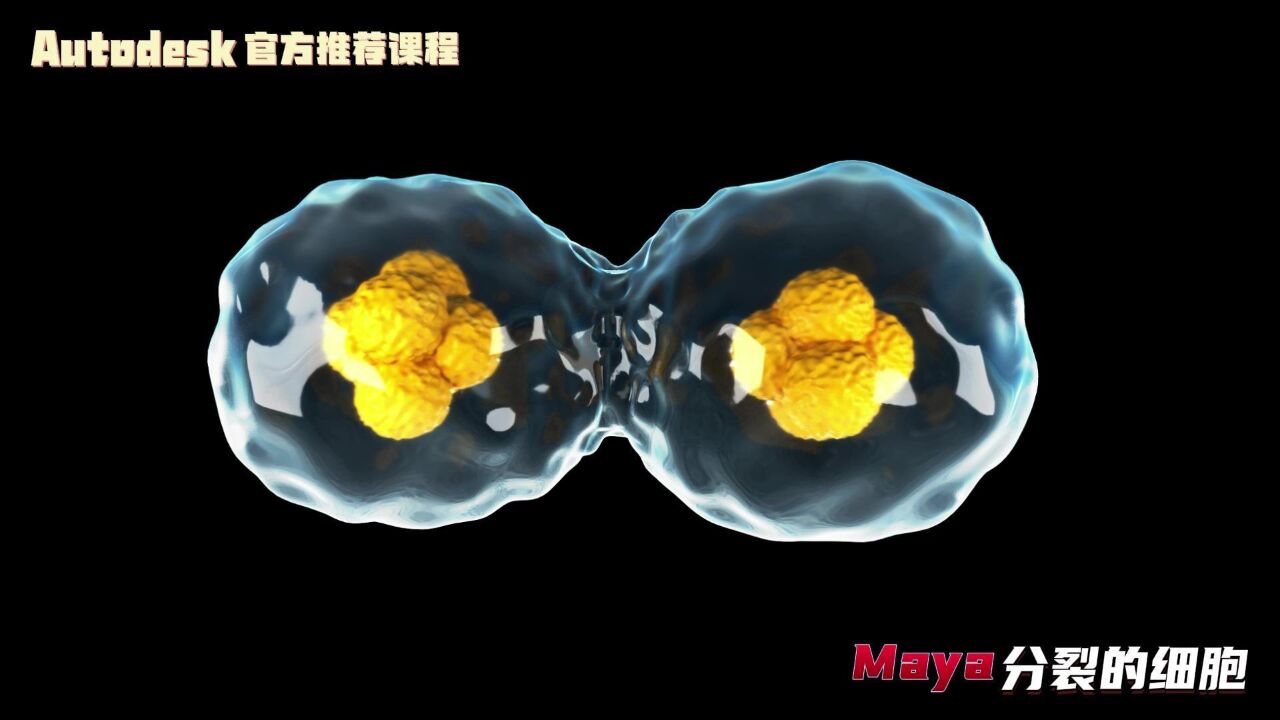 【SCI科研制图教程】如何用Maya软件制作分裂的细胞【宋元元博主】