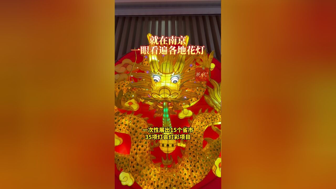 就在南京,一眼看遍各地花灯