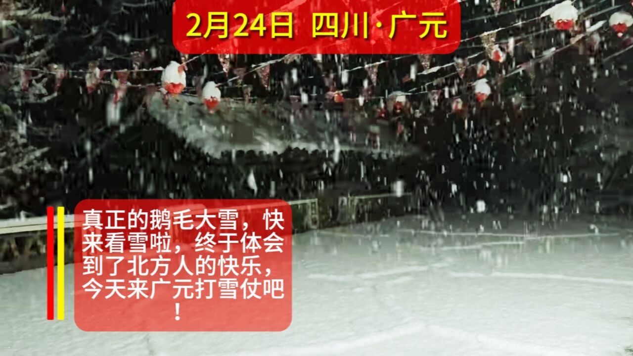 真正的鹅毛大雪,广元人终于体会到了北方人的快乐,来打雪仗!