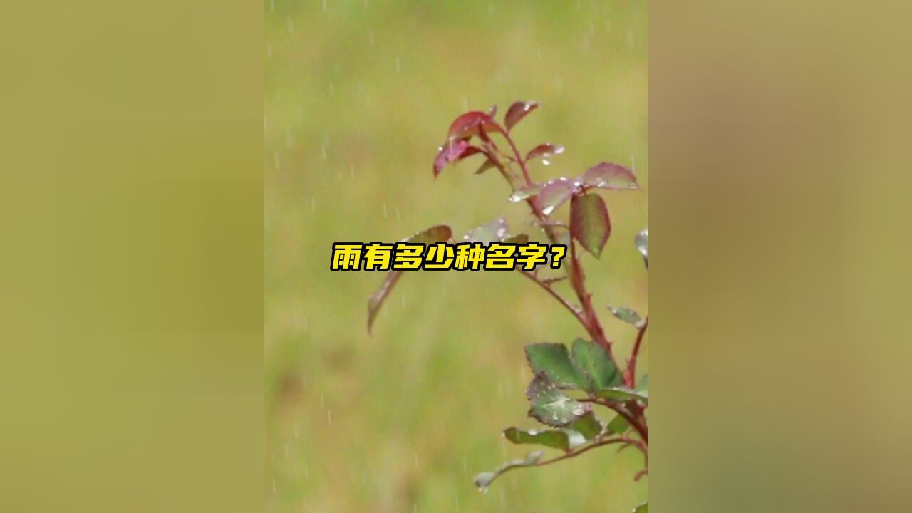 雨水|雨有多少种名字?