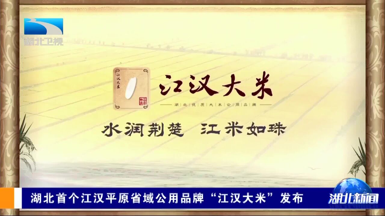 湖北首个江汉平原省域公用品牌“江汉大米”发布