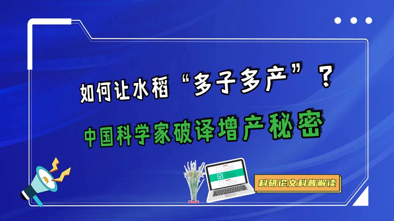 如何让水稻“多子多产”?中国科学家破译增产秘密