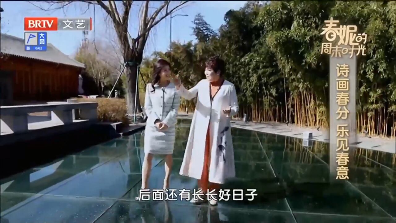 春意渐浓,主持人和嘉宾一起游园,感受春意