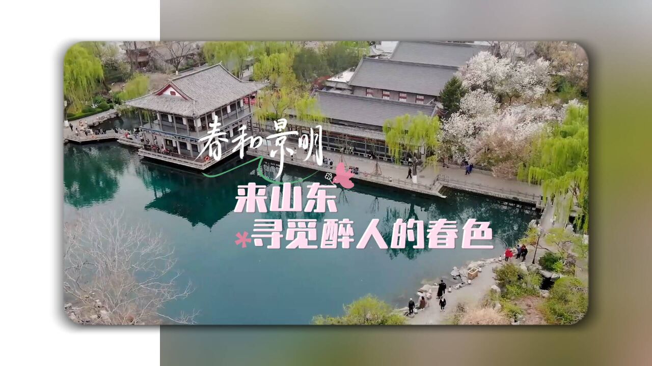 春暖花开 快来山东寻觅醉人春色吧~