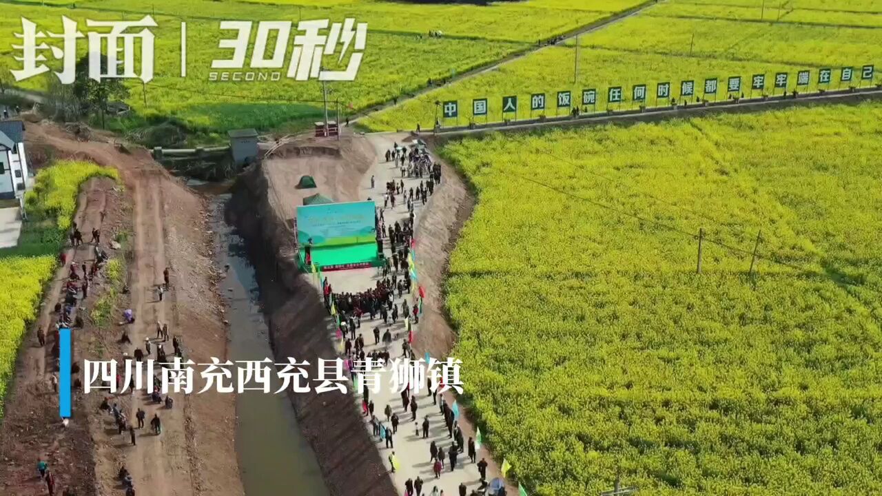 粮油基地菜花开 四川西充青狮镇开启“花经济”模式|走花路