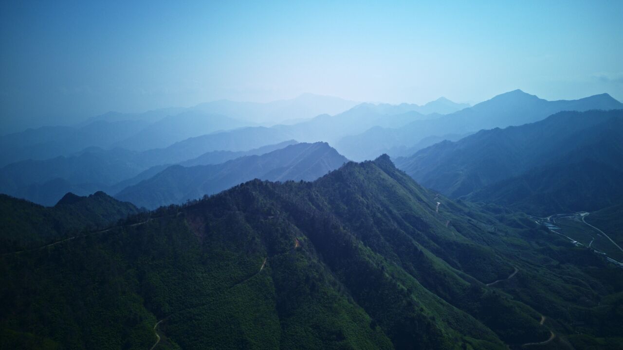 千城胜景|云南大关:筇竹原始森林秘境美