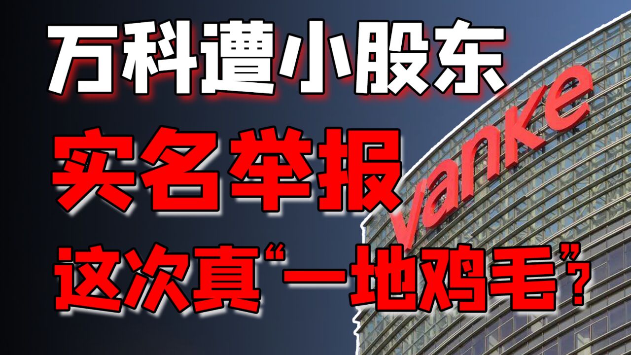 万科遭小股东自s式举报,双方为何反目?房地产市场下半场,该如何走?