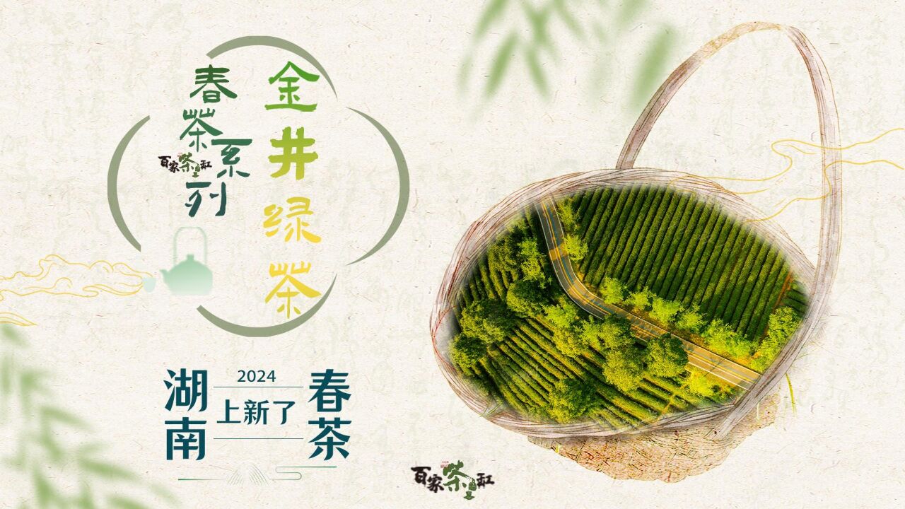 湖南春茶系列报道丨金井茶园:一芽一叶一抹香