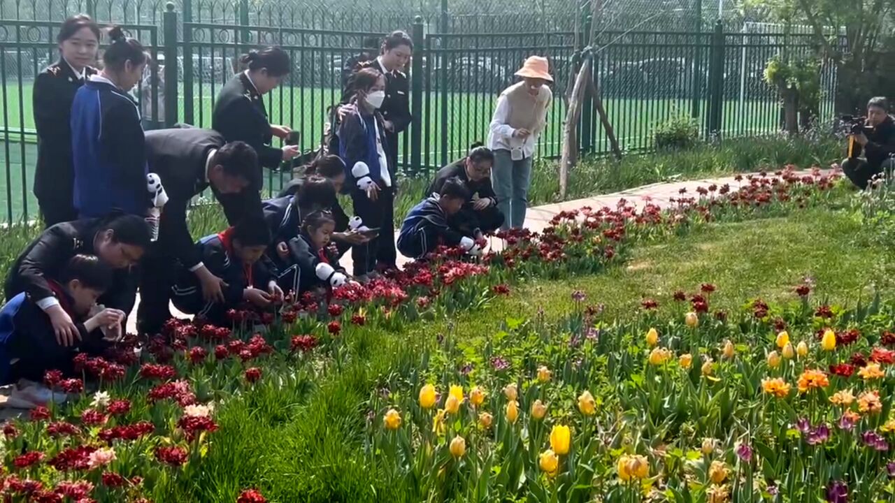 盲人学生用手触摸春天 北京市少年宫与北京市盲人学校展开交流