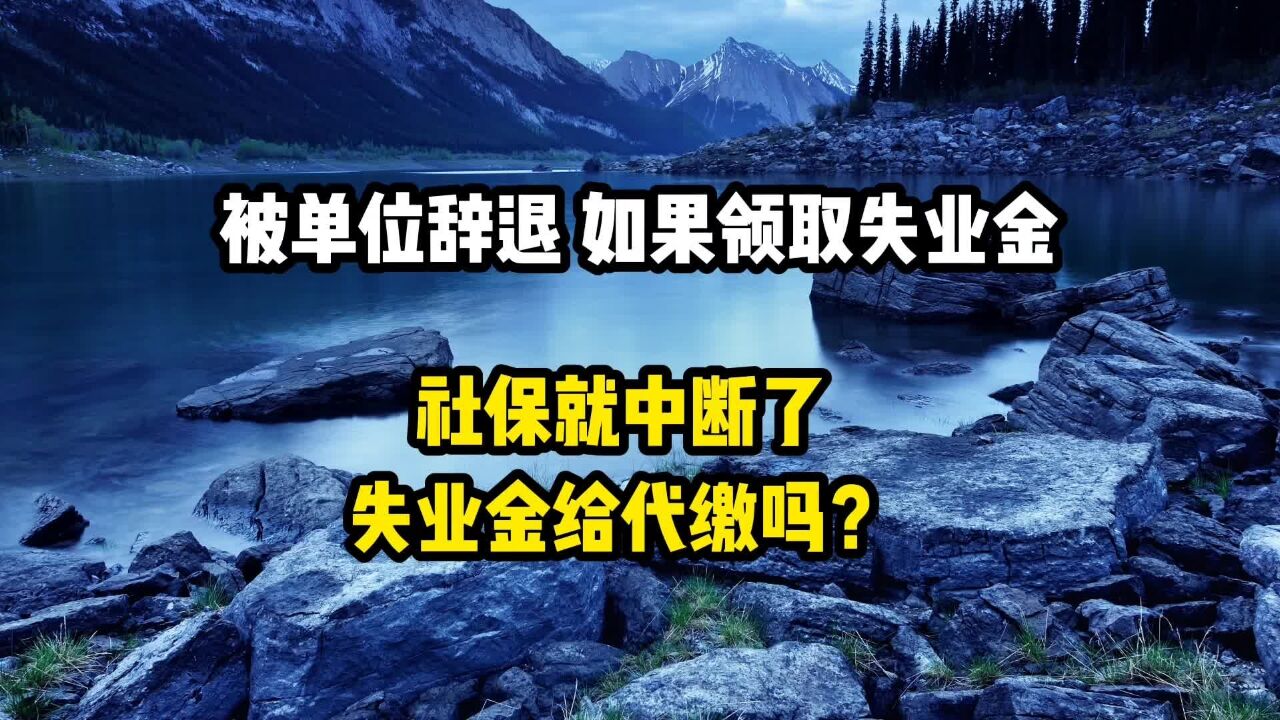 被单位辞退,如果领取失业金社保就中断了吗?失业金会给代缴吗?