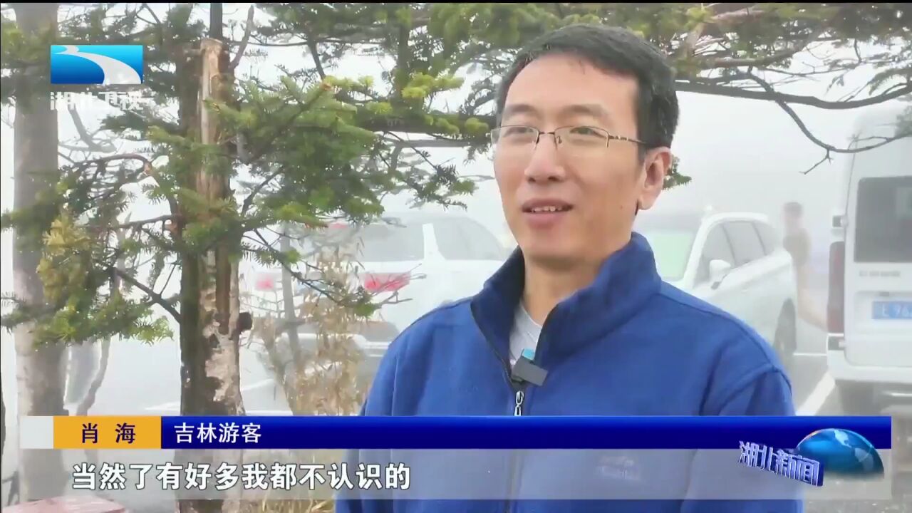 青春五一ⷦ‰“卡“隐藏款”丨登山踏青 寻觅绿野仙踪