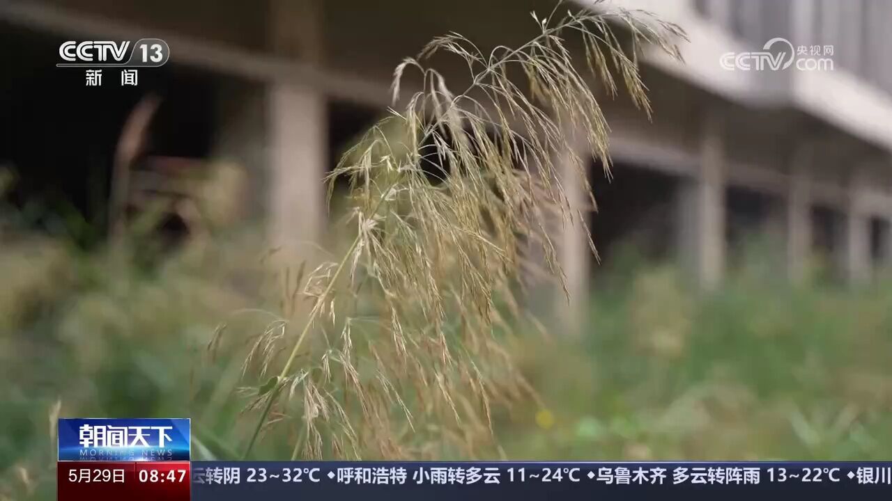 项目烂尾 局面失管 天津滨海新区 履职不力 “竣工逾期”项目无人监管