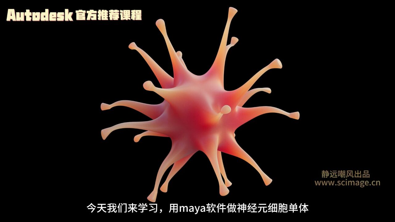 【SCI科研制图教程】如何用maya软件做神经元细胞单体(Maya软件)【宋元元博主】