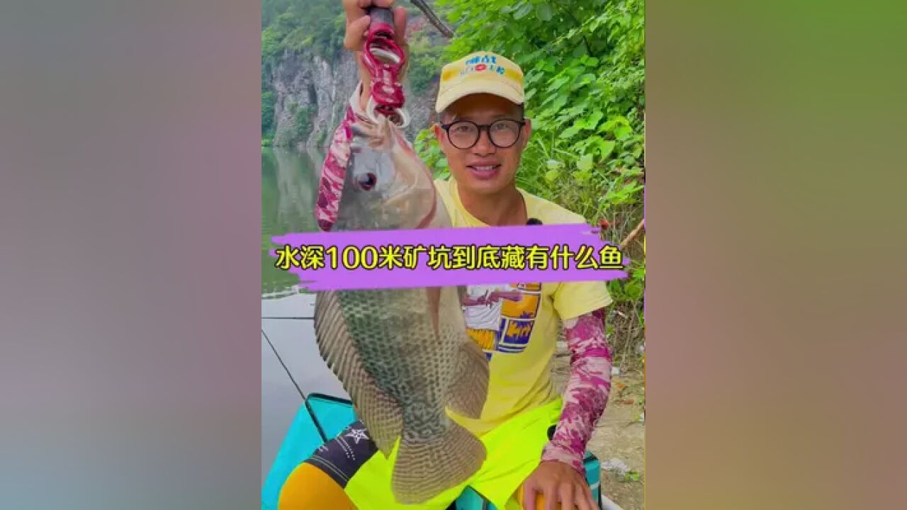 水深100米的矿坑,究竟藏有什么鱼?