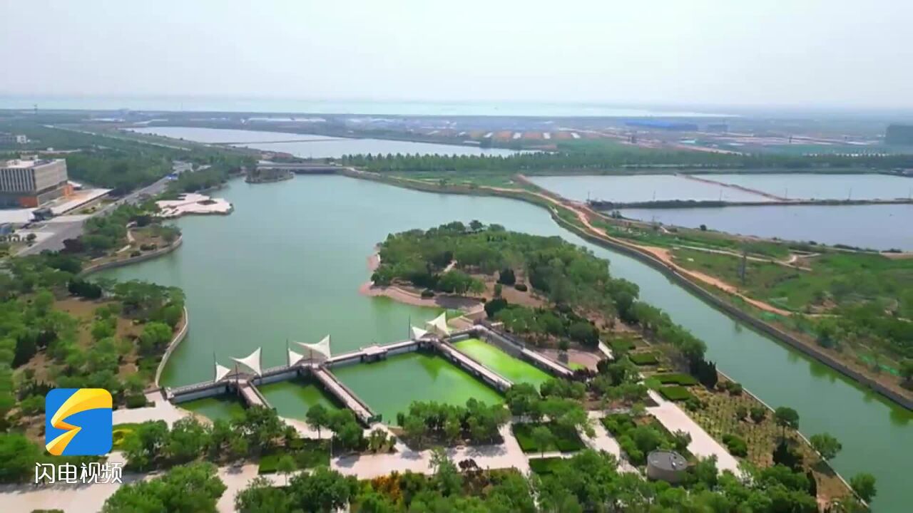 东营市河口区:夏日美景 如诗如画