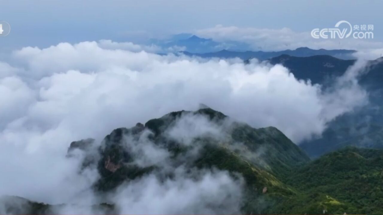 山西永济:雨后五老峰现云海景观