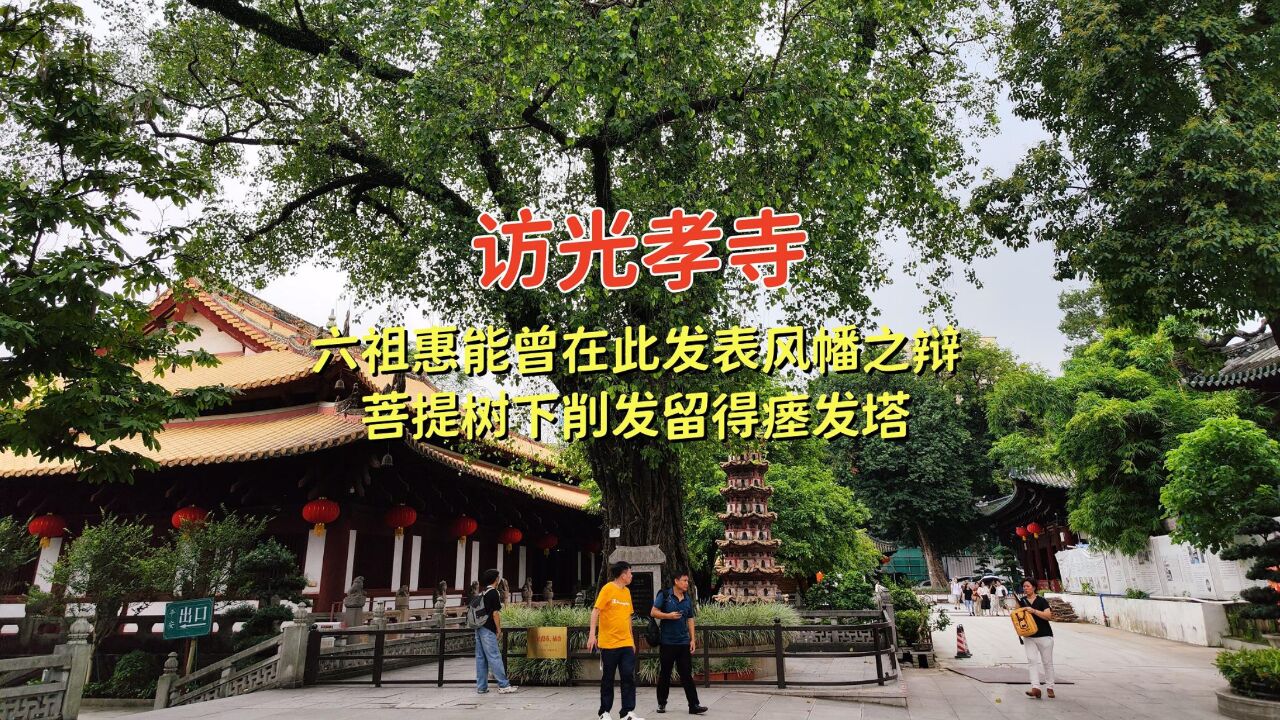 访光孝寺,六祖惠能曾在发表风幡之辩,菩提树下削发留得瘗发塔